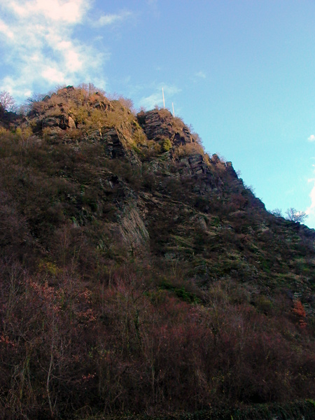 Loreley hat heute Ausgang